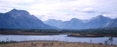 Waterton Beaver Bundle